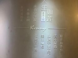-金夫人美容