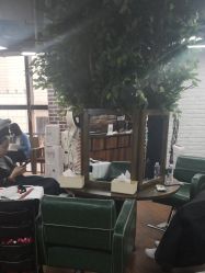 点击看大图 -尚丹尼造型
