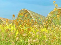 -中国天府农业博览园