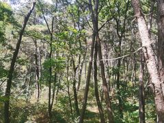 -萨尔浒风景区