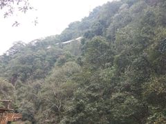 -九龙江国家森林公园