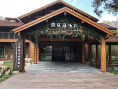 -黄海国家森林公园