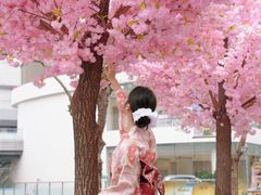 -东莞松山湖万象汇