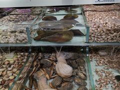 -盒马鲜生(大行宫店)
