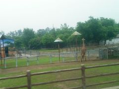 -西安秦岭野生动物园