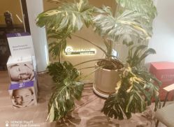 -海菲秀黑钻·SELF SKIN悦己·Tech SPA