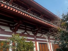 -华清宫景区