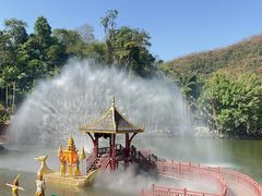 -西双版纳原始森林公园