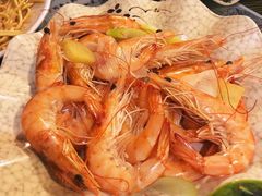-西单翅酷(西单店)