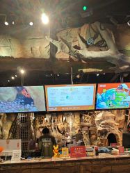 -探洞工场(丰科万达旗舰店)