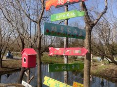 -上海长兴岛郊野公园