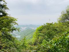 -午潮山国家森林公园