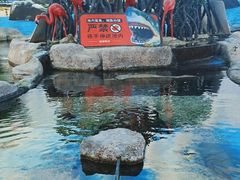 -鸿通城购物中心