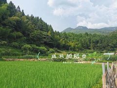 -梁野山景区