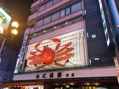 -蟹道乐(道顿堀本店)