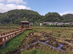 -高荡千年布依古寨旅游景区