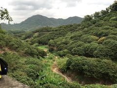 -大屏嶂森林公园