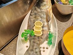-松沪名灶·豆浆鱼头·新上海菜(飞航吾悦广场店)
