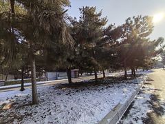 -北陵公园