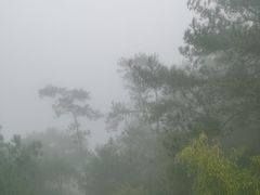 -千岛湖天屿景区