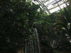 -南山植物园