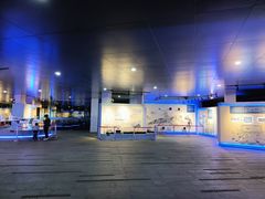-成飞公园
