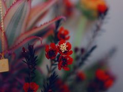 -LADY FAFA(巨鹿路陕西南路路口店)