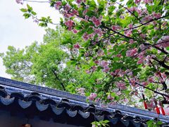 -寒山寺