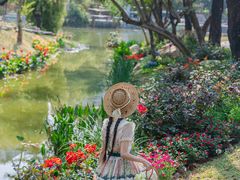 -人民公园(罗湖区)