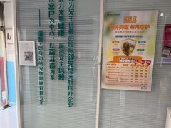 -瑞派福兴宠物医院犬猫全科·骨科·中西医结合(河东店)