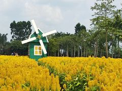 -广东花都香草世界旅游度假区