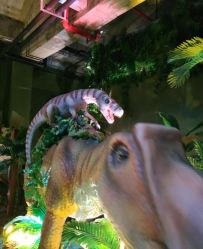 -恐龙探索乐园(磁器口店)