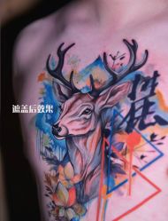 -雕哥的纹身店A3 TATTOO&纹身培训