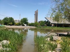 -天津东丽湖风景区