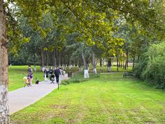 -汉长安城未央宫国家考古遗址公园