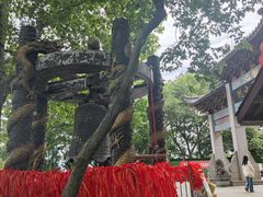 -灵顺寺