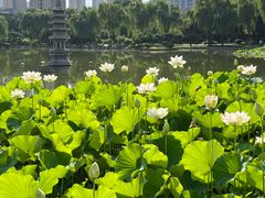 -木塔寺遗址生态公园