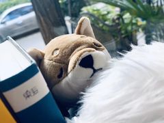 -五进制 Coffee Shop