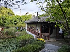 -上海醉白池公园