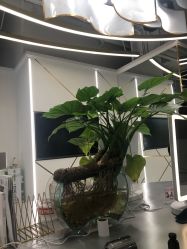 -MYYF SALON烫发染发