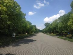 -上海海湾国家森林公园