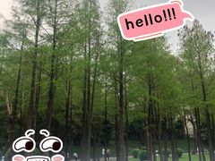 -晓港公园