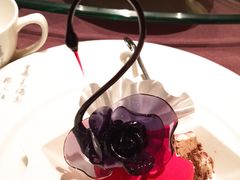 -BLACKSWAN黑天鹅(环球店)