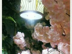 -游You House(西单老佛爷店)