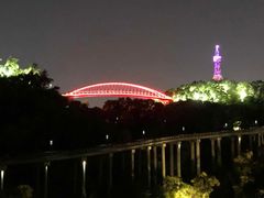 -金鸡山公园