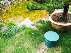 -大可堂普洱茶馆(襄阳南路馆)