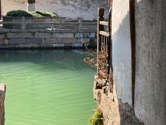-乌镇景区
