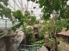 -北京植物园-展览温室