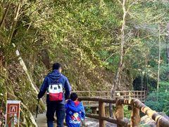 -花岩国家森林公园