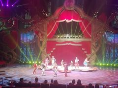 -珠海横琴长隆《卡卡虎奇遇记》